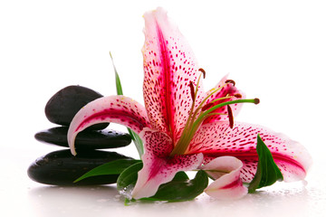 Spa Stones © Swetlana Wall