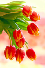 Tulpen,Blumenstrauß