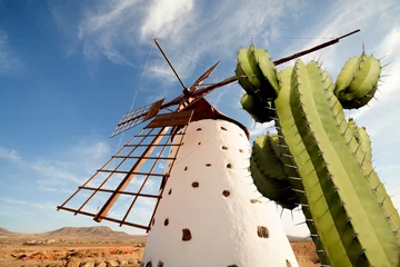 Fototapete Rund Windmill © luchschenF