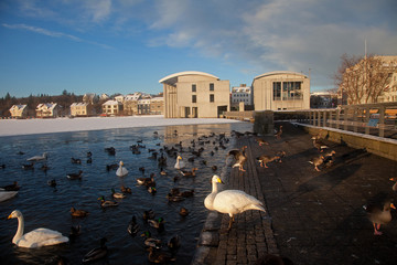 Reykjavik