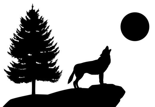 Heulender Wolf Silhouette Landschaft Tiere Wald