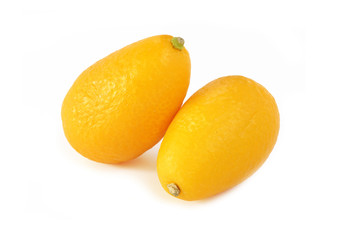 Kumquat. Isolated on white background.