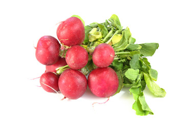 Red Radish. Isolated on white background.