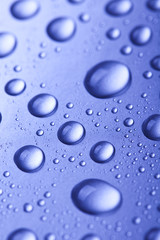 Fresh and Wet