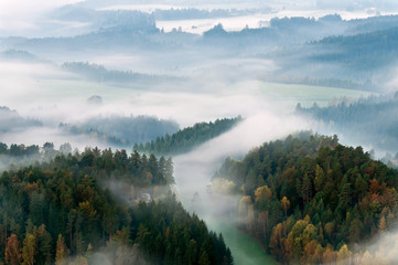 Misty Morning