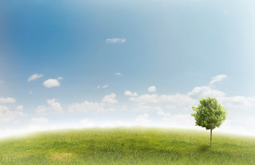 Panorama of green field with a tree on blue sky background