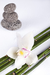 Fototapeta na wymiar Still life, with orchid flower, zen