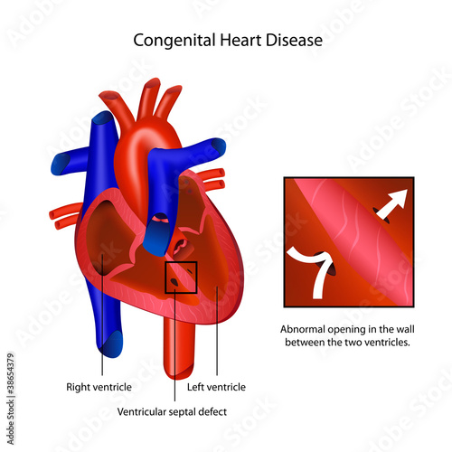 download biology of