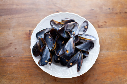 gusci di cozze