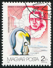 Fototapeta premium Ernest Shackleton and Penguins