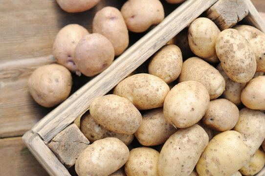 Potatoes in a box.