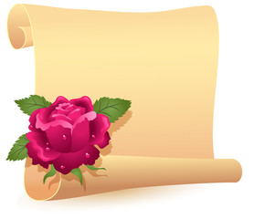 Rolled parchment and rose