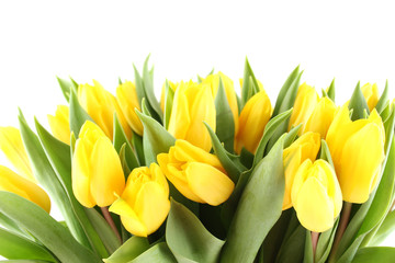 Fototapety  Bukiet tulipanów