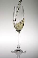 Sektglas