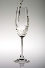 Sektglas