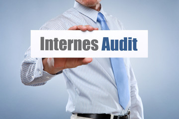 Internes Audit