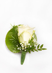 weiße Rose Anstecker