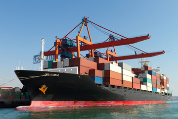 Fototapeta premium Container Ship