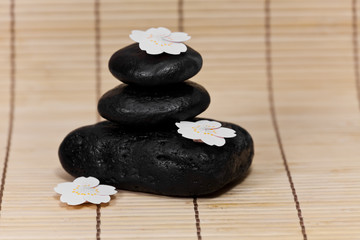 flowers and black stones