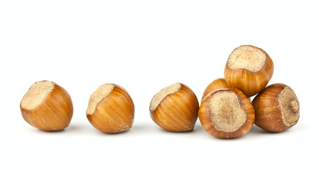 Hazelnuts Composition