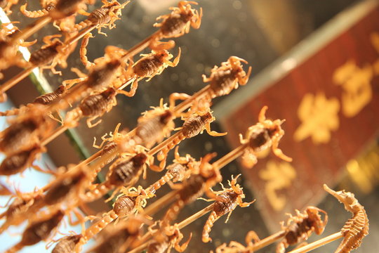 tipical chinese food