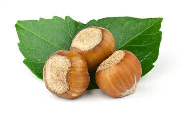 Hazelnuts Composition