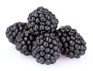 beautiful blackberries isolated on white