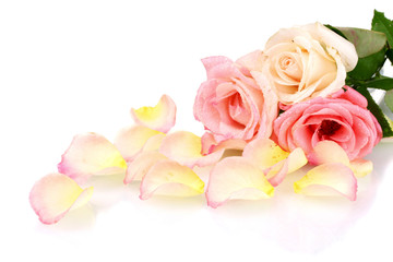Fototapeta na wymiar Beautiful bouquet of roses and petals isolated on white