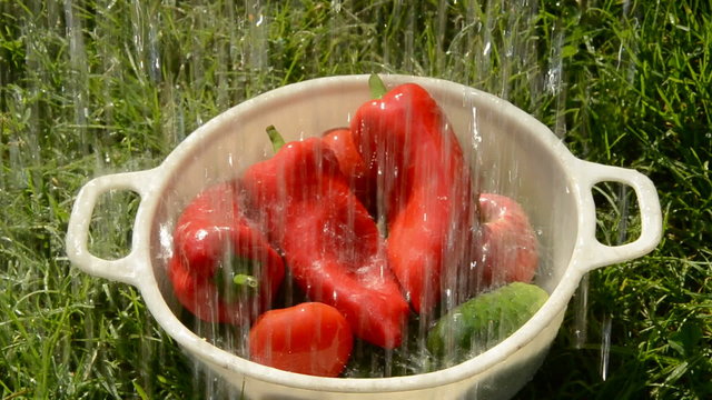 washing summer vegetables on grass