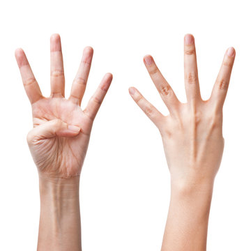 Female hands counting number four