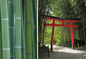 diptyque sur le thème du bambou et du jardin japonais