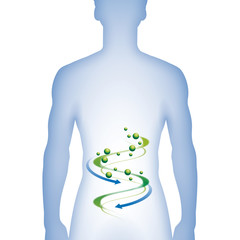 Sanfte Medizin im Verdauungstrakt - Infografik