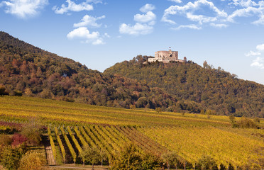 Hambacher Schloss und Weinberge