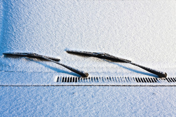 windshield of the car