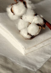 Nappe et serviettes cotton