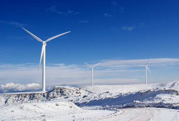Fototapeta na wymiar windmills