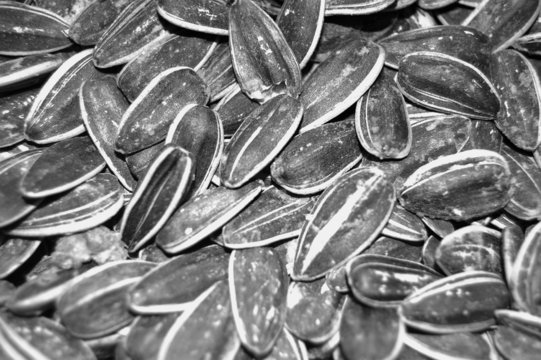 Suflower Seeds