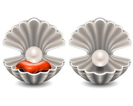 Open seashell with pearl