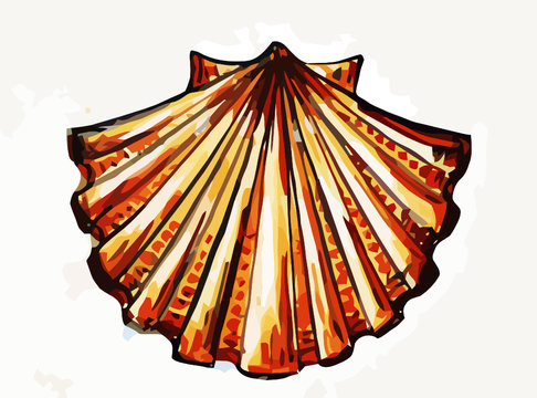 shell of saint james