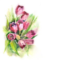Watercolor -Tulips Bunch-