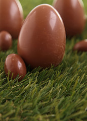chocolate egg and green grass