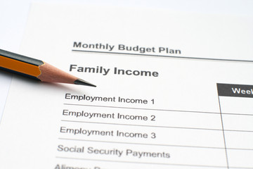 Monthly budget plan