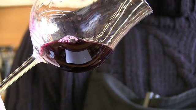 examen d'un vin