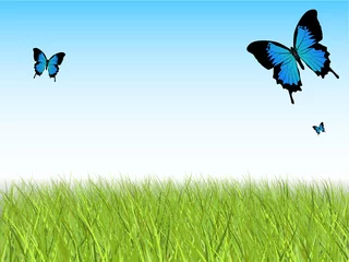 Papier Peint photo Lavable Papillon Ciel bleu avec de l& 39 herbe et des papillons détaillés