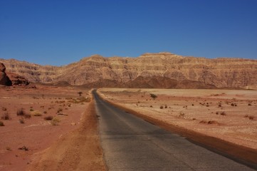 Fototapeta na wymiar Desert Road