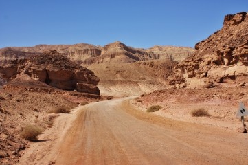Fototapeta premium Desert Road