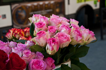 roses chez le fleuriste