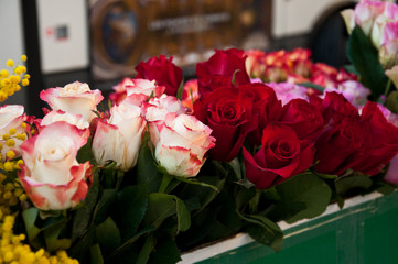 roses chez le fleuriste