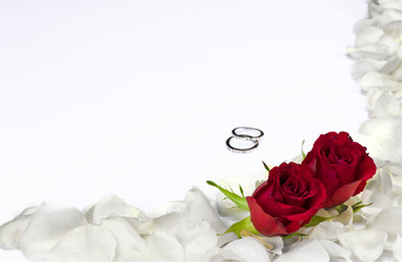 weiße rosenblätter mit roten Rosen