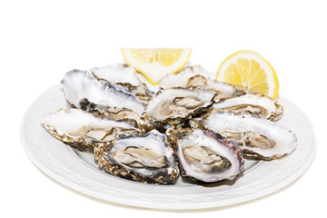 Oysters and lemon on white background